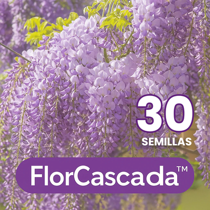 FlorCascada™ Convierte tu jardín en un espectáculo natural de flores colgantes todo el año.
